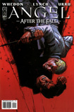 Angel : After the Fall #5a